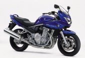 2006 Suzuki Bandit 650 SA photo